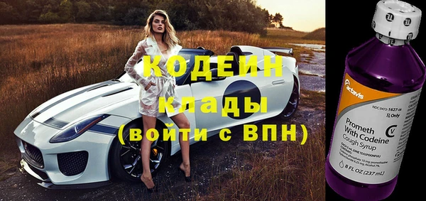 твердый Володарск