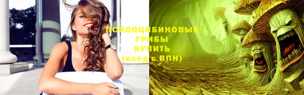 ПСИЛОЦИБИНОВЫЕ ГРИБЫ Волосово