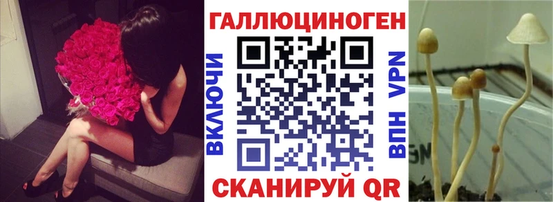 продажа наркотиков  Добрянка  Галлюциногенные грибы Psilocybe 